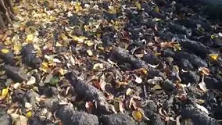 Закриваю зезон 2019 року