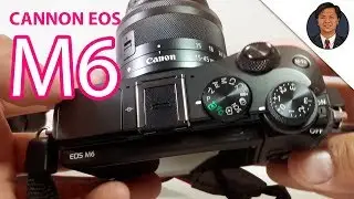 Best Vlogging Camera and Cheapest? Cannon EOS M6 (DSLR), the Mirrorless Camera, 1080 50fps Video