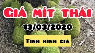 Giá mít hôm nay - giá mít thái siêu sớm hôm nay ngày 13/05/2020