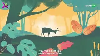 Solidarity for a green world