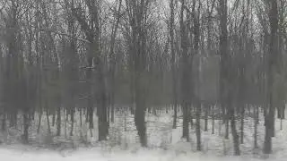 VID 20220124 101053
