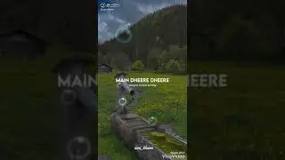 Pee loon song status