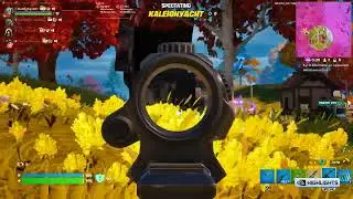 Kaleigh Dub & Carry | Fortnite #shorts