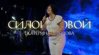 Екатерина Швецова / СИЛОЙ НОВОЙ / Краеугольный камень г.Иркутск