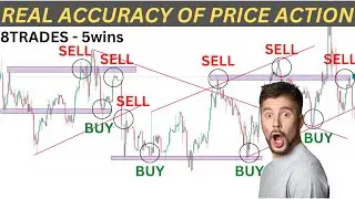 Real Accuracy of Price Action Trading Strategy | 5 Minute Price Action Scalping Trading Strategy