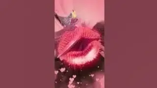 عرض رقص بيجو لايف تانجو بث مباشر للفتيات السعوديات