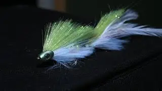 Dally's Twerking Minnow