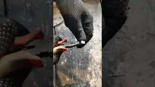 🔥 Bolt blackening. Чернение болта. Самый быстрый способ! #diy