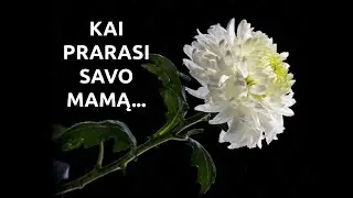 Kai prarasi savo Mamą...