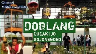 SUARA BURUNG:Doblang Cucak Ijo tampil di PIALA BUPATI CUP 1 BOJONEGORO 2017