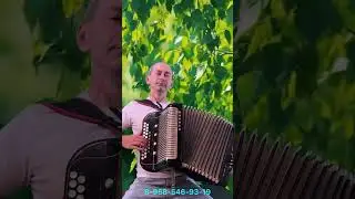 #Гармонь#Продажа