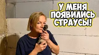 ЯРЕМЕНКО / НОВОСТИ