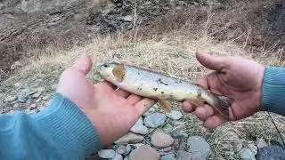 рыбалка в Дагестане, форель ручьевая