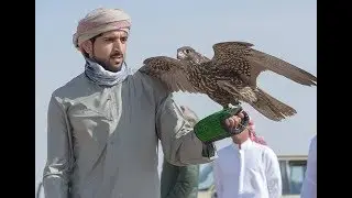 Дубай валиаҳд шаҳзодаси Ўзбекистонда ов қилди