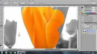 How to do the color splash effect on 