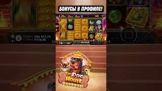 ЗАНОС В ФАРАОНАХ ЗАНОСЫ НЕДЕЛИ 