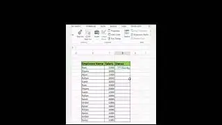 cheak box in Ms Excel 