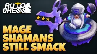 Wiping the lobby with Tortola and Thunder Spirit ⭐️⭐️⭐️ | 6 Shamans 3 Mage | Auto Chess