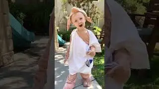 Dobby is a free elf.