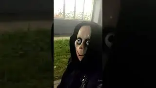 момо 