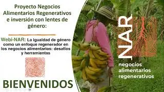 Webinar La igualdad de género como un enfoque regenerador en los negocios ...