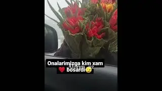 ONA O'RNINI KIM BOSADI
