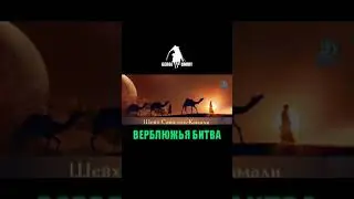 Саид Аль Камал истории о верблюжья битва