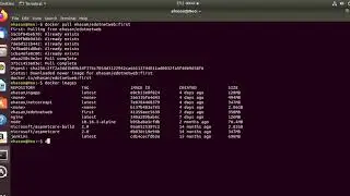 docker images, docker container, some docker command