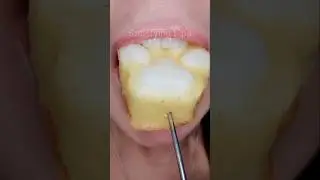 ASMR Satisfying Eating Cake Paw 🐾 #asmr #cake #youtubechamps
