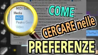 #104 - ▶️ Reaper: come cercare nelle Preferenze [FlashTorial ITALIANO]