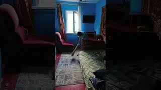 #Быт