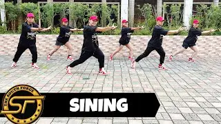 SINING ( Dj Ralph Remix ) - Dance Trends | Dance Fitness | Zumba