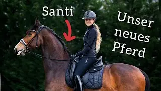 Santi kaufen - eine wilde Reise - emotionaler Pferdekauf | Team Inleobo Podcast Gepflegter Reitsport