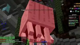 spin2.mp4