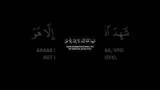 Мухаммад Люхайдан Сура 3 Ал Имран Аят 16 #محمد_اللحيدان