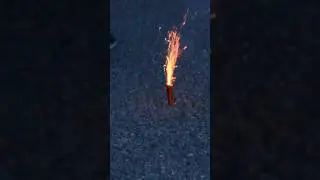 Panda Booster D knallt 🔥 #feuerwerk #shorts