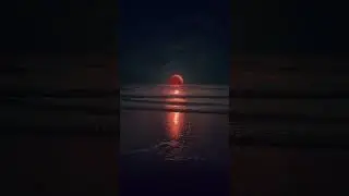 Әлиғазы Төртқара - тағдыры