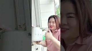 Máy hâm nóng, rã đông bình sữa túi trữ All In One phiên bản mới 2024 của nhà Tommee Tippee