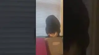 Cat vs doll head