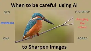 Sharpening photos using Topaz | Things to be aware of!!