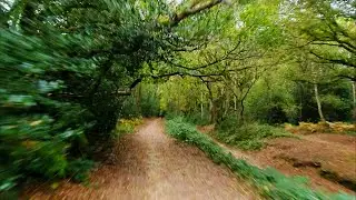 POV | Chill MTB Ride