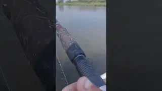 Красавчик.