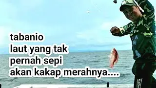 Menjelang nisfu syaban ke laut tabanio mancing kakap merah