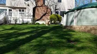 A Different Kind of Find in my Yard