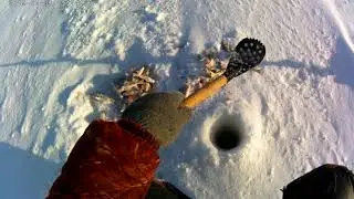 Рыбалка на Чанах Банникова 13 12 2021