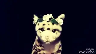 《●》Don't Let Me Down《●》 WMV
