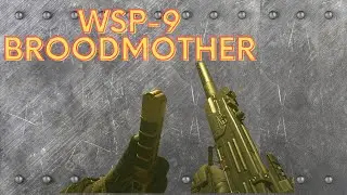 I Used The WSP-9 Conversion Kit To Build An INSANE SMG! My New Short-Range Favorite For SnD