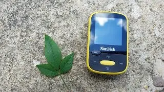 Why do MP3 Players Exist in 2017?? Ft. Sandisk Sport Clip Pro