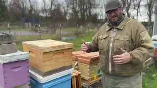 Mastering Cold Weather Bee Package Installation | Beekeeping