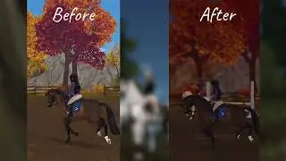 Before & After Editing || Star Stable (5)